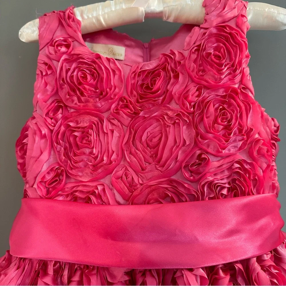 American Princess Pink dress with Rose embellishments